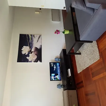 Apartamento Beau T1 Hyper Center Gare Flandres Lila